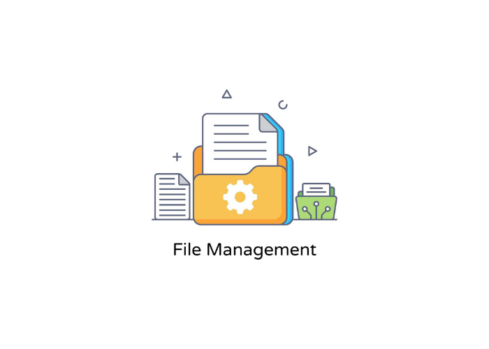 File Management